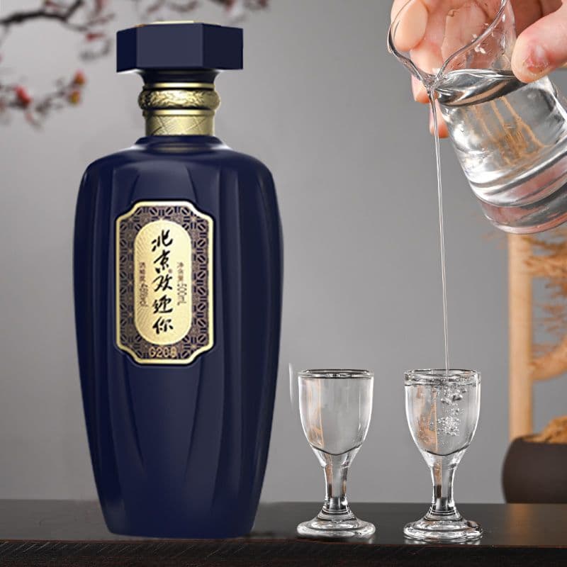 北京欢迎你G20（蓝）