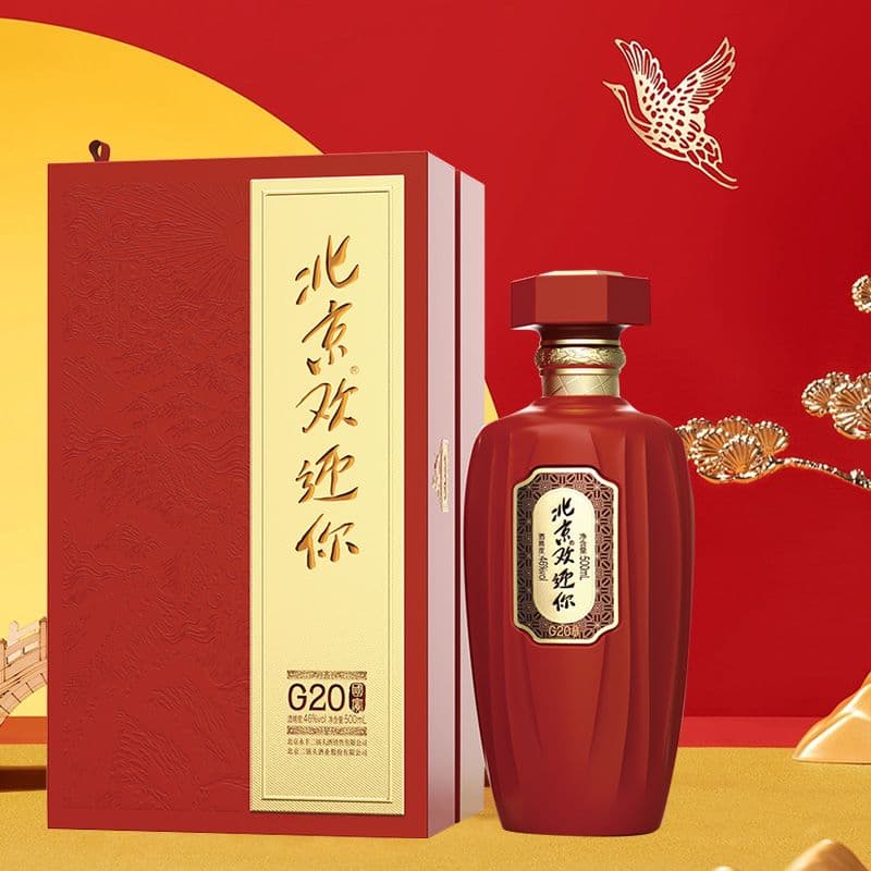 北京欢迎你 展示图 1